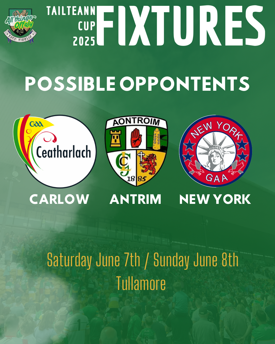 Copy of Copy of Hurling Fixtures.png